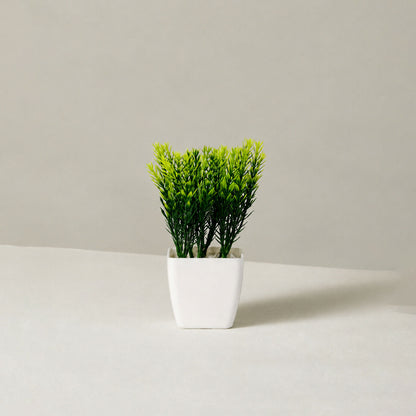 Plant-1
