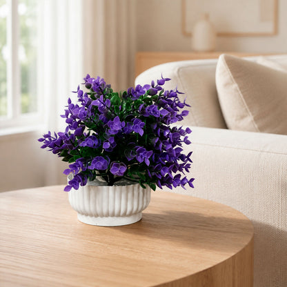 Decorative-Plant-04
