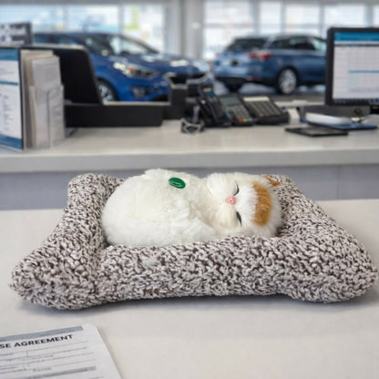 Sleeping Cat Showpiece on Soft Cushion for Home & Office Desk Decor