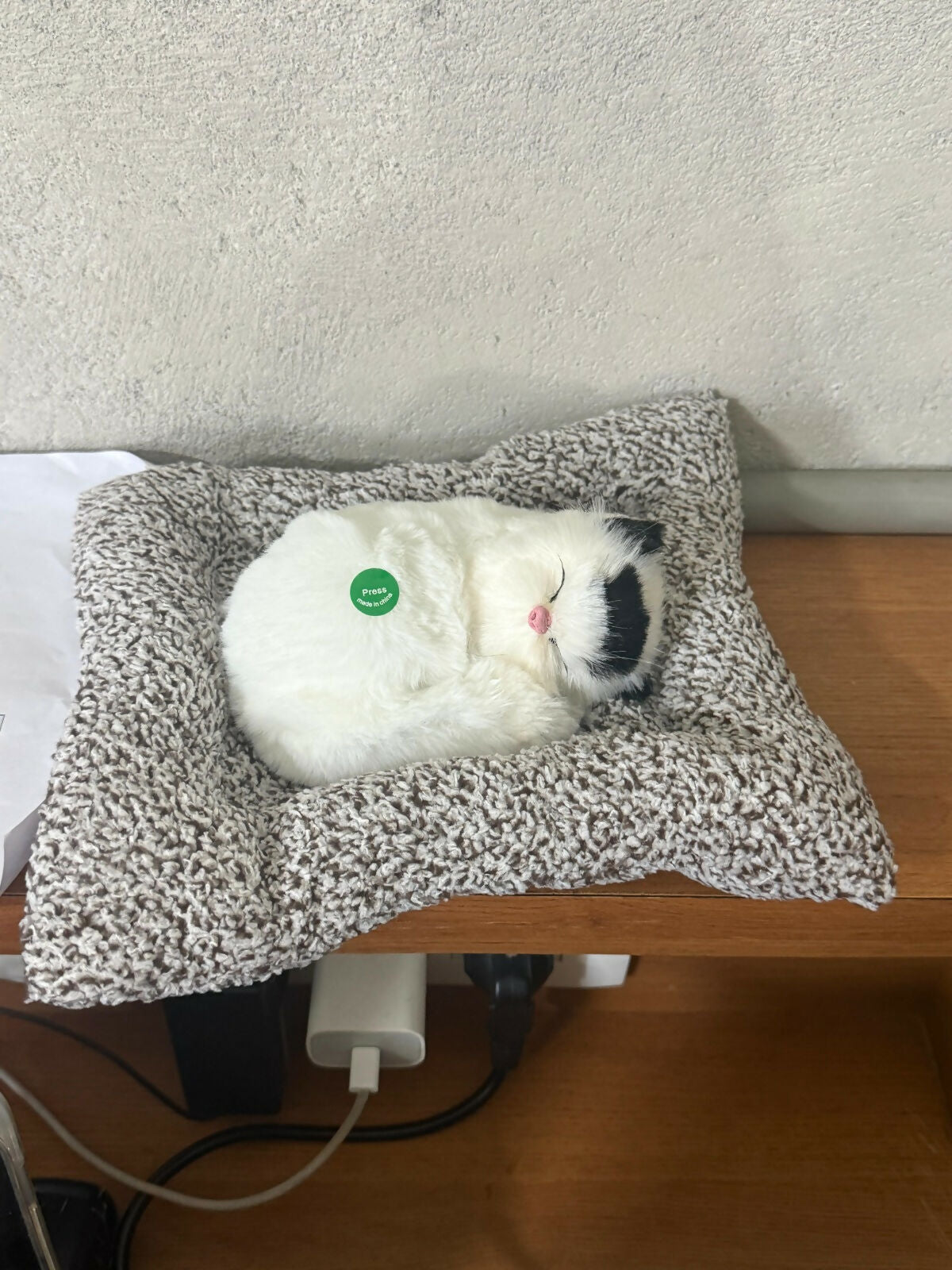 Sleeping Cat Showpiece on Cushion for Home, Office Desk & Car Dashboard Decor