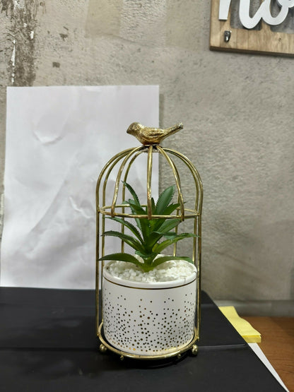 Golden Bird Cage Tabletop Planter with Decorative Pot(Color may vary)