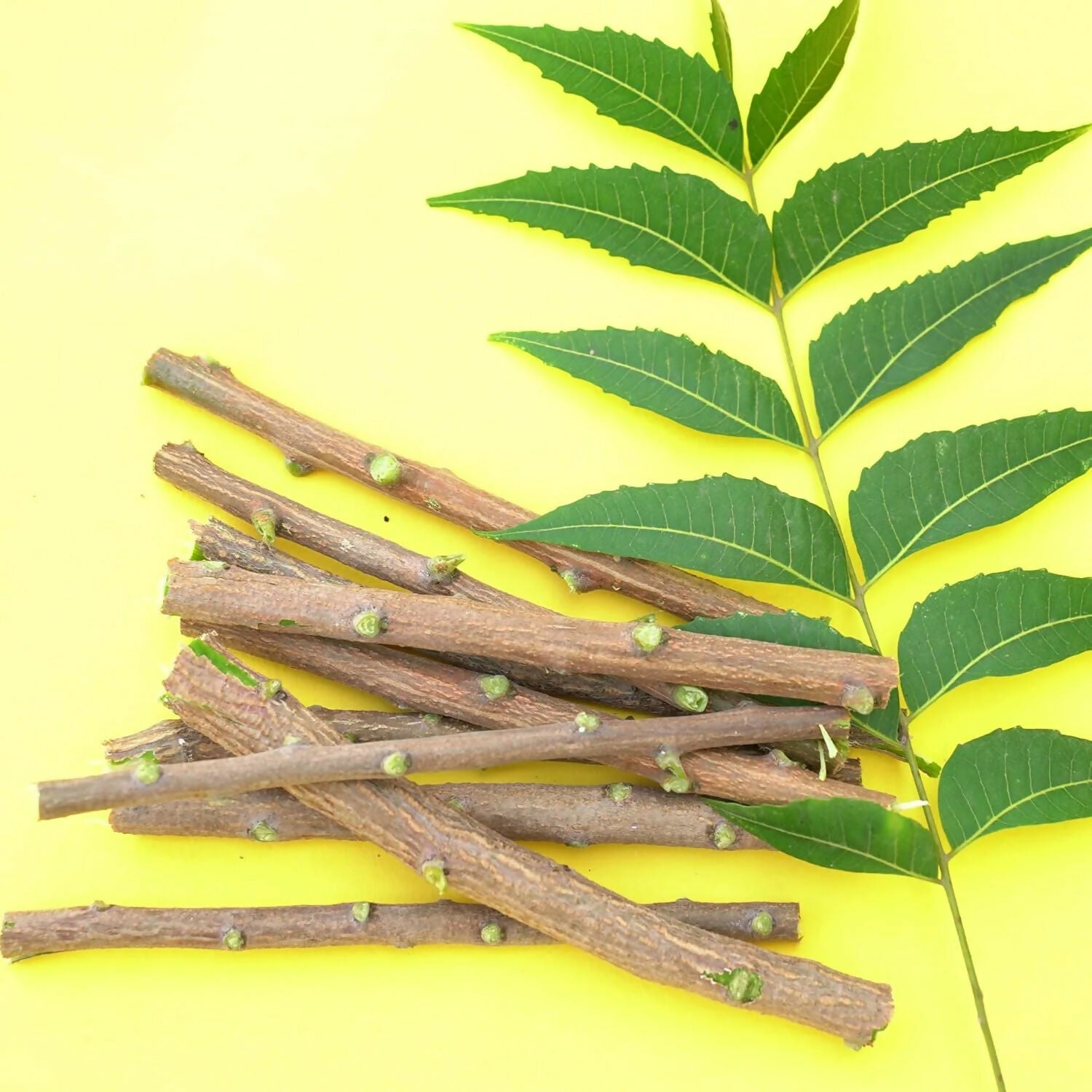 Neem wood sticks displayed on wooden surface
