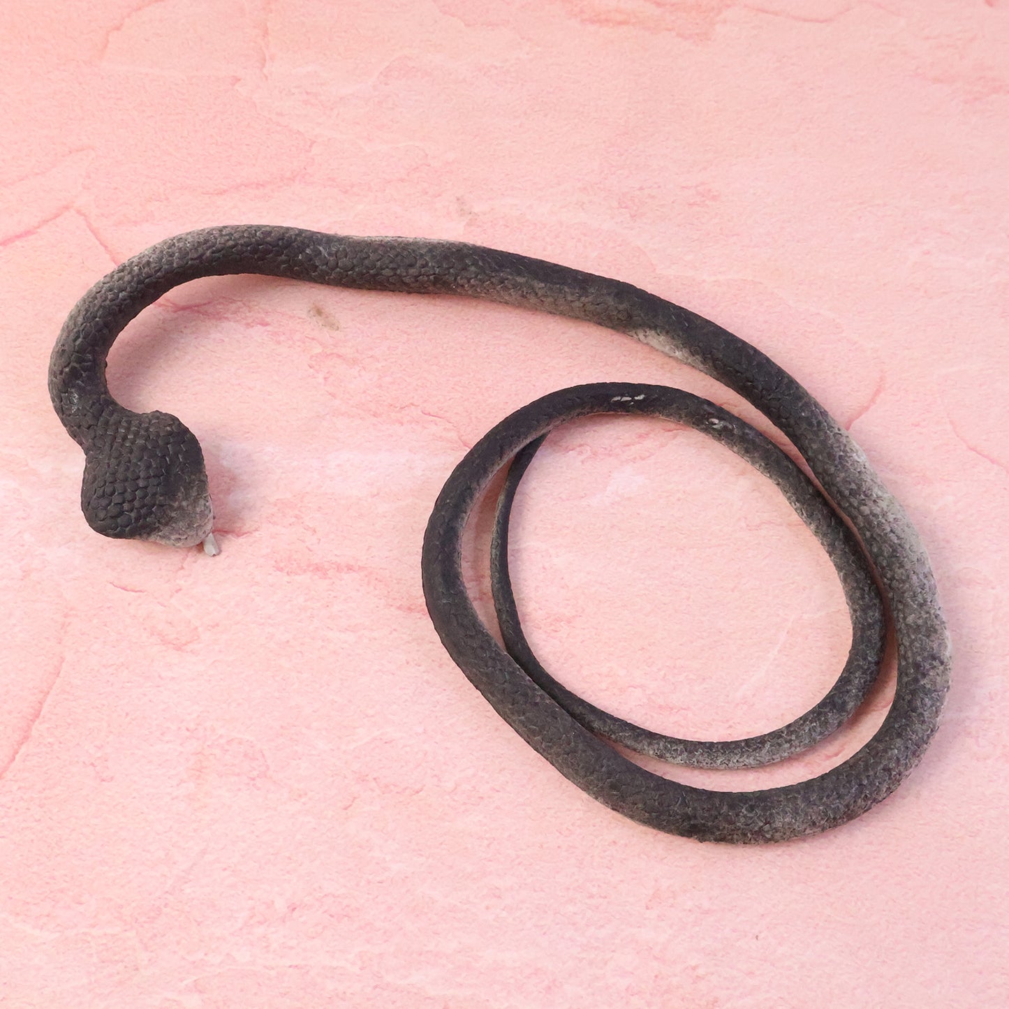 Realistic Dummy Snake Toy for Kids Pranks (1 Pc)