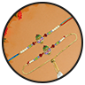Rakhi
