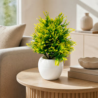 Artificial Yellow Green Bonsai Tree Plant in White Ceramic Pot | Home Office Décor