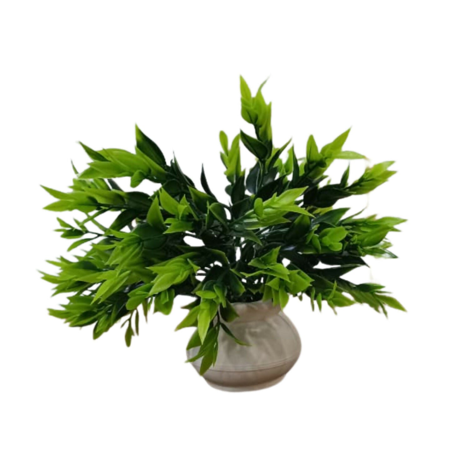 Plant-5