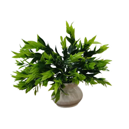 Plant-5