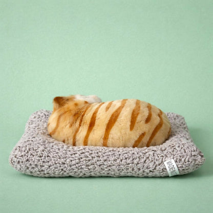 Sleeping Cat Soft Plush Toy Cushion for Car Dashboard, Desk & Home Decor