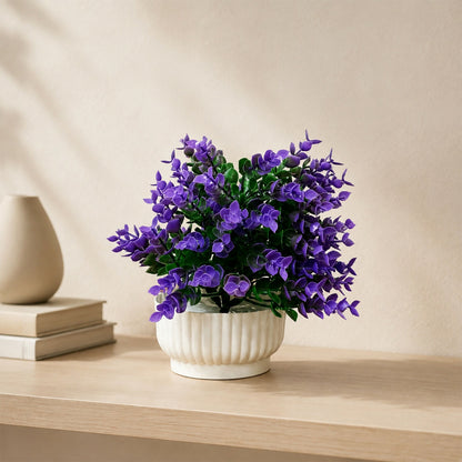 Decorative-Plant-02