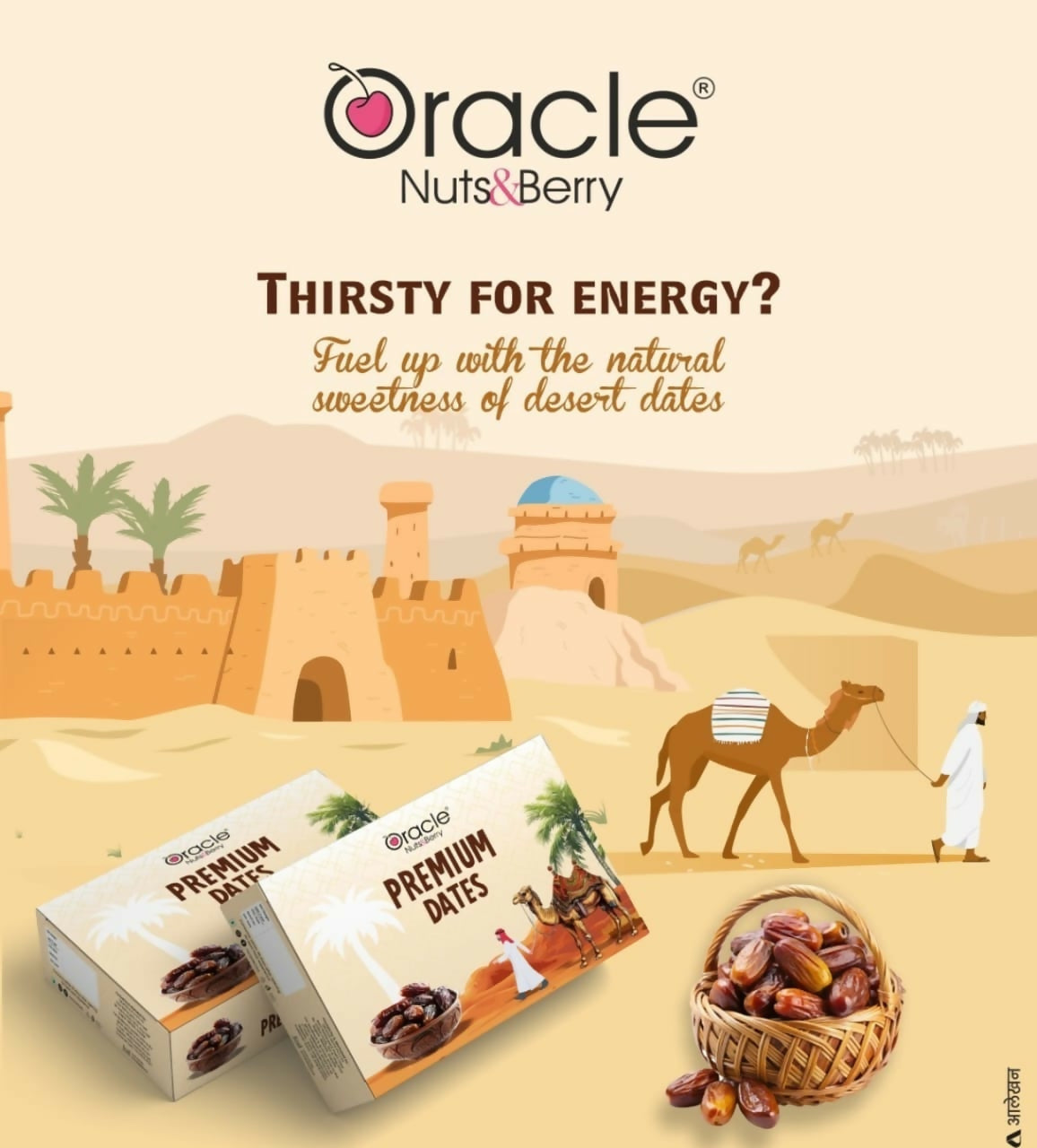 Oracle Premium Kalmi Dates – Naturally Rich, Soft & Chewy Luxury Dates (500Gm)