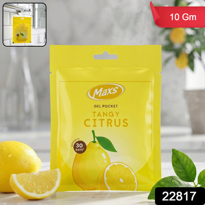 Maxs gel pocket freshener for indoor use