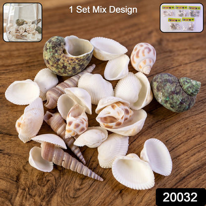 Natural Decorative Sea Shells Set (1 Set)