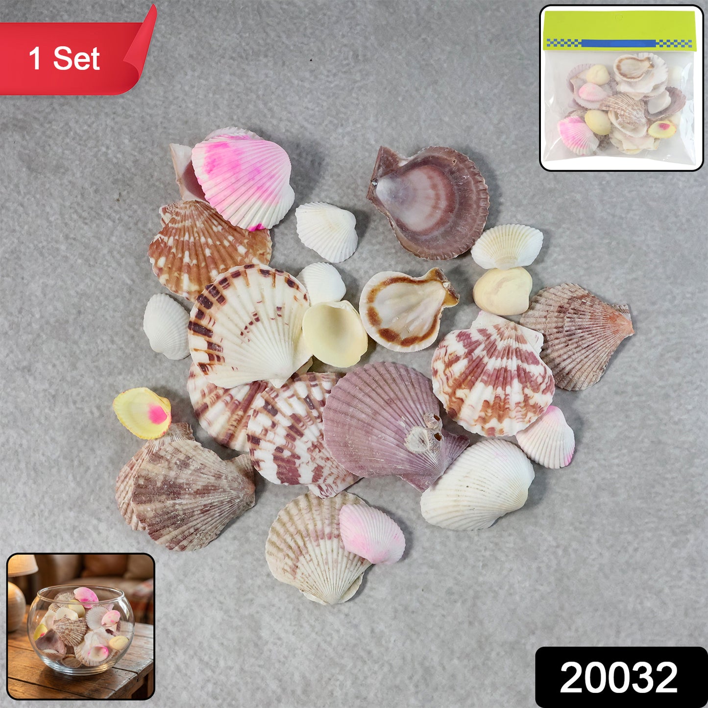 Seashell Decoration Set