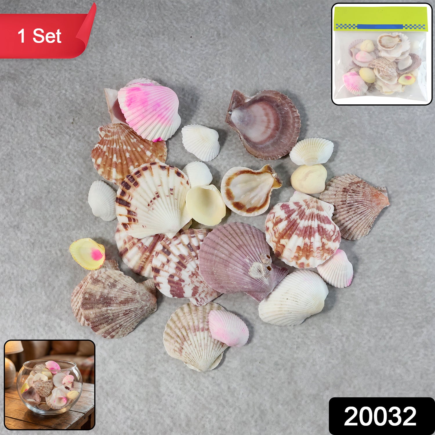 Seashell Decoration Set