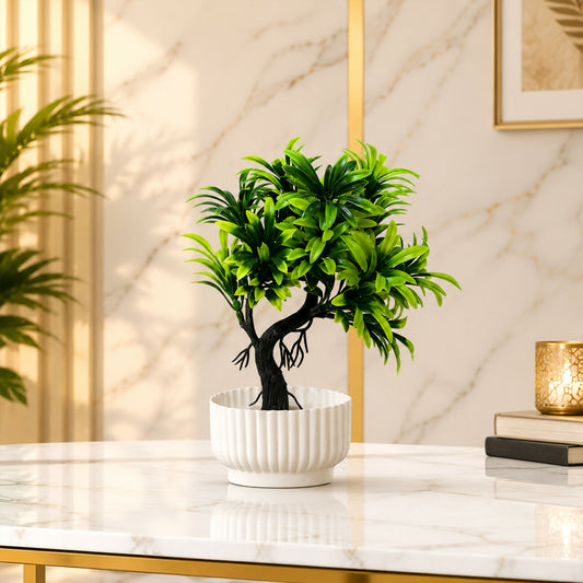 Plant-3