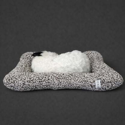 Sleeping Cat Showpiece on Cushion for Home, Office Desk & Car Dashboard Decor