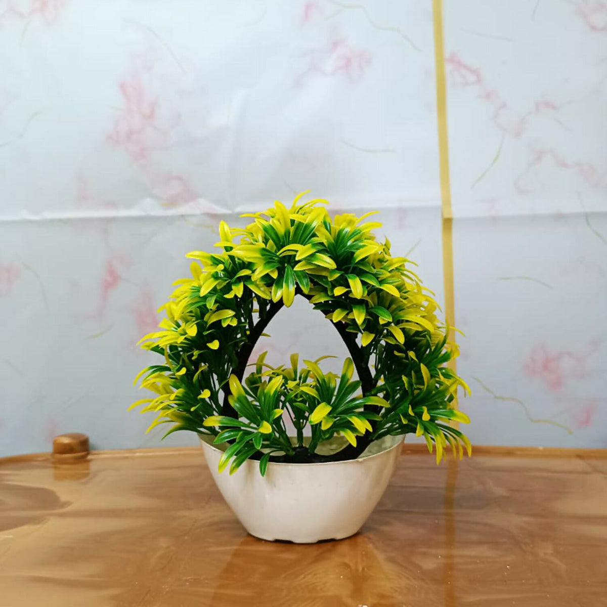 plant-6