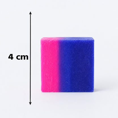 Bathroom Toilet Bowl Cleaning Block, Dual Colour Flush Tank Cleaner (1 Pc)