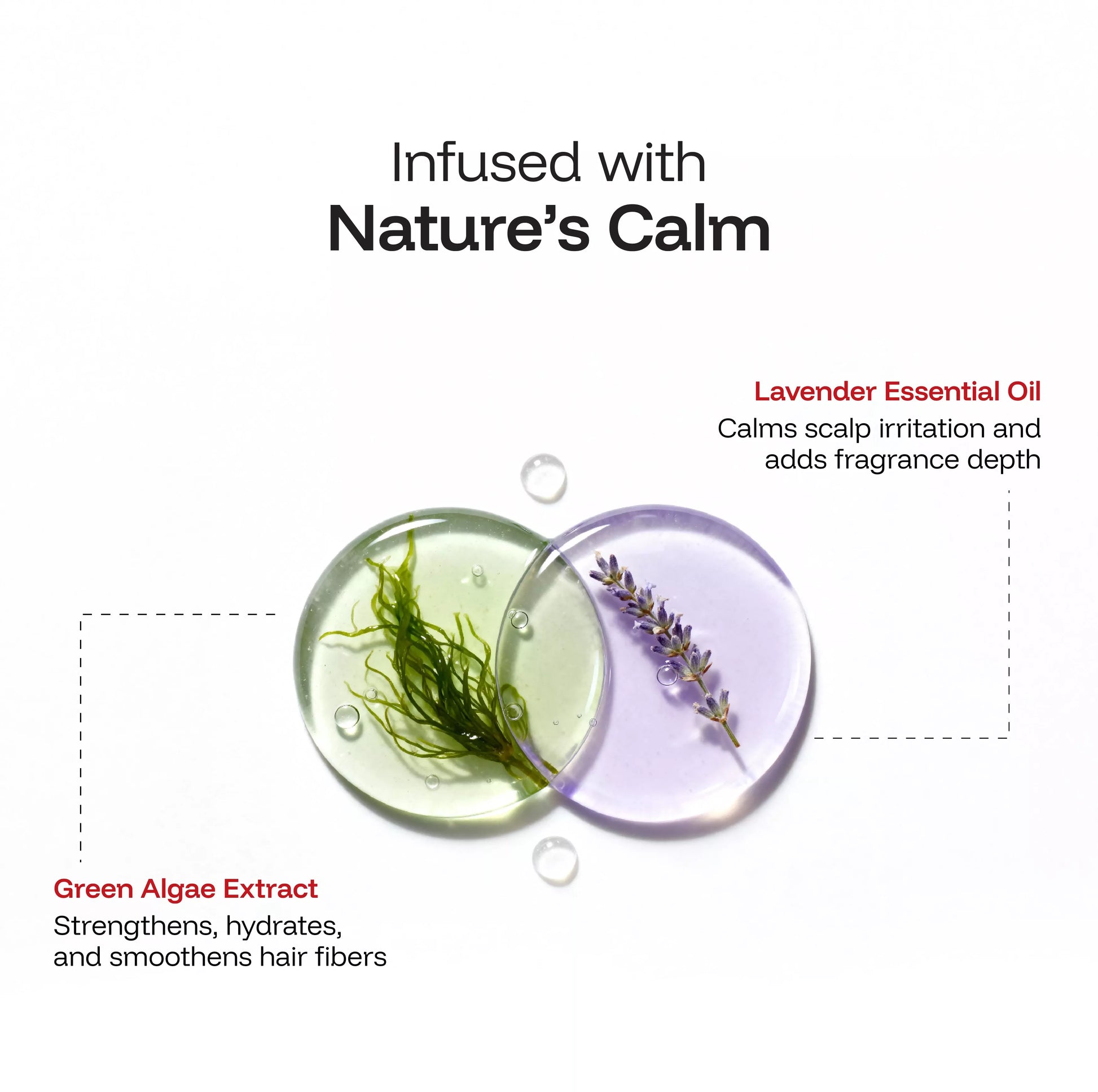 CINCINNUS Green Algae Extract Silky Smooth Shampoo