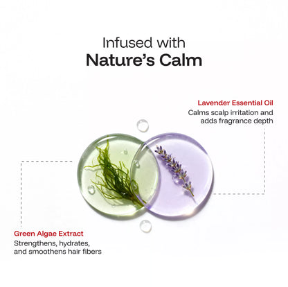 CINCINNUS Green Algae Extract Silky Smooth Shampoo