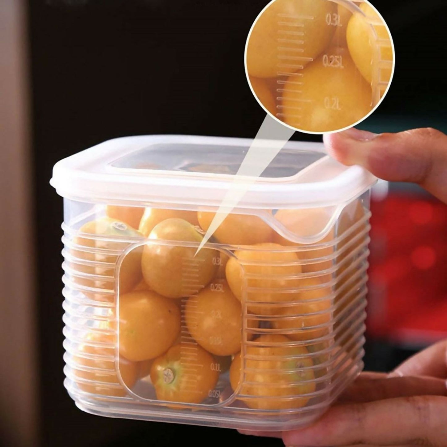 Multi-Compartment Fresh Storage Container with lid