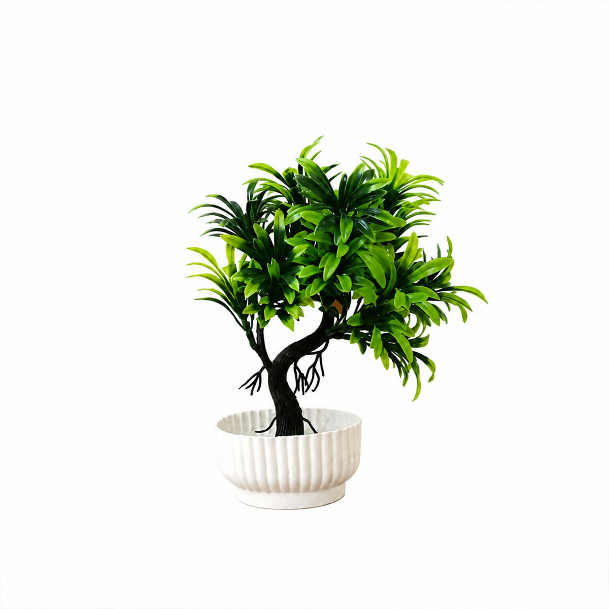 Plant-5