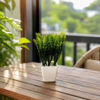 Elegant Décor for Home, Bedroom, Office & Hotels, Perfect Gift All Celebrations