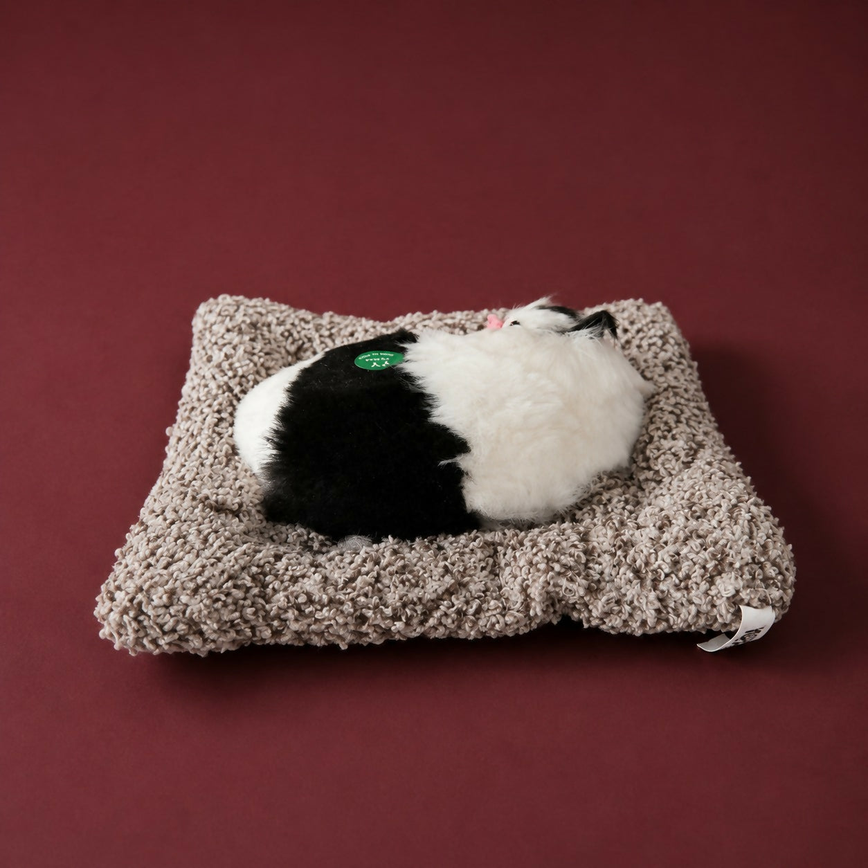 Cute sleeping cat plush toy on shelf decoration