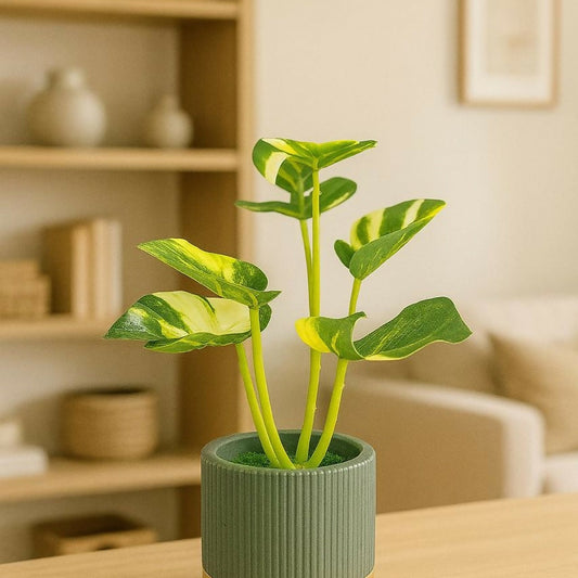 Artificial Monstera Leaf Tabletop Plant with Decorative Pot for Home Décor
