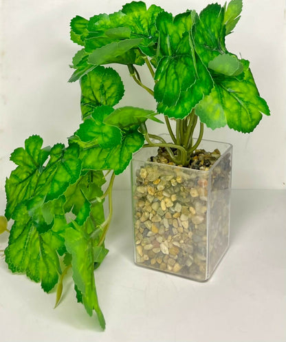 Artificial Trailing Leaf Plant in Clear Pot for Home & Office Table Décor