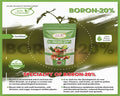 Boron 20% Fertilizer – Essential Nutrient for Healthy Crops