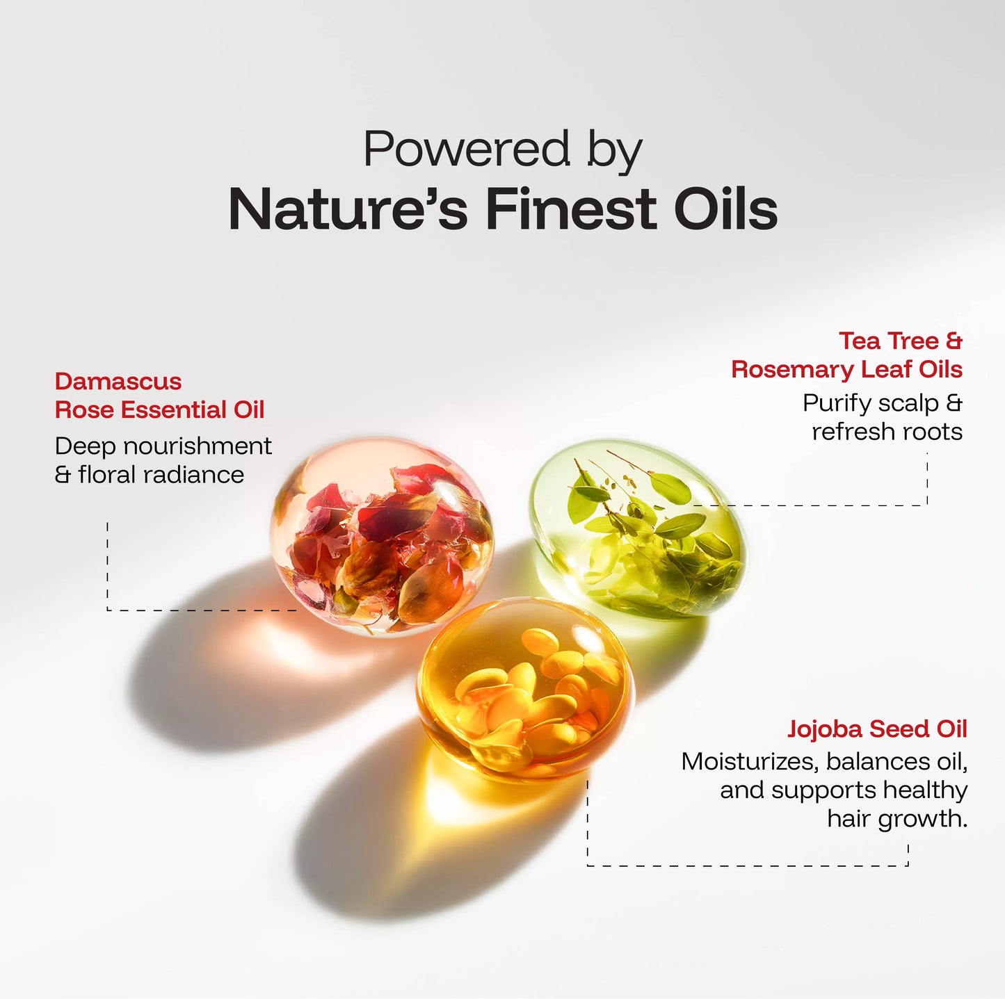 Healthy, shiny hair after using CINCINNUS moisture repair oil