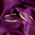 Crystal Studded Bangles – Elegant Dual-Line Design