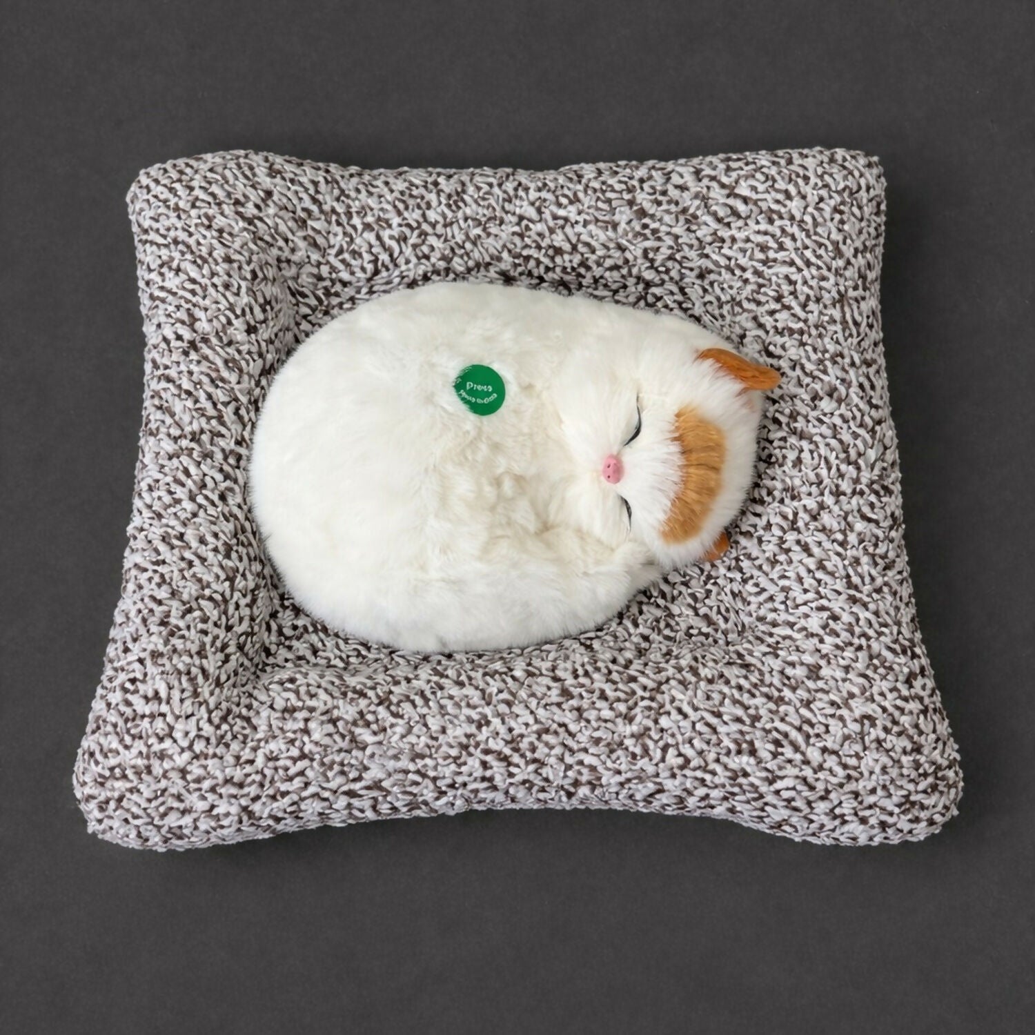 Sleeping Cat Showpiece on Soft Cushion for Home & Office Desk Decor