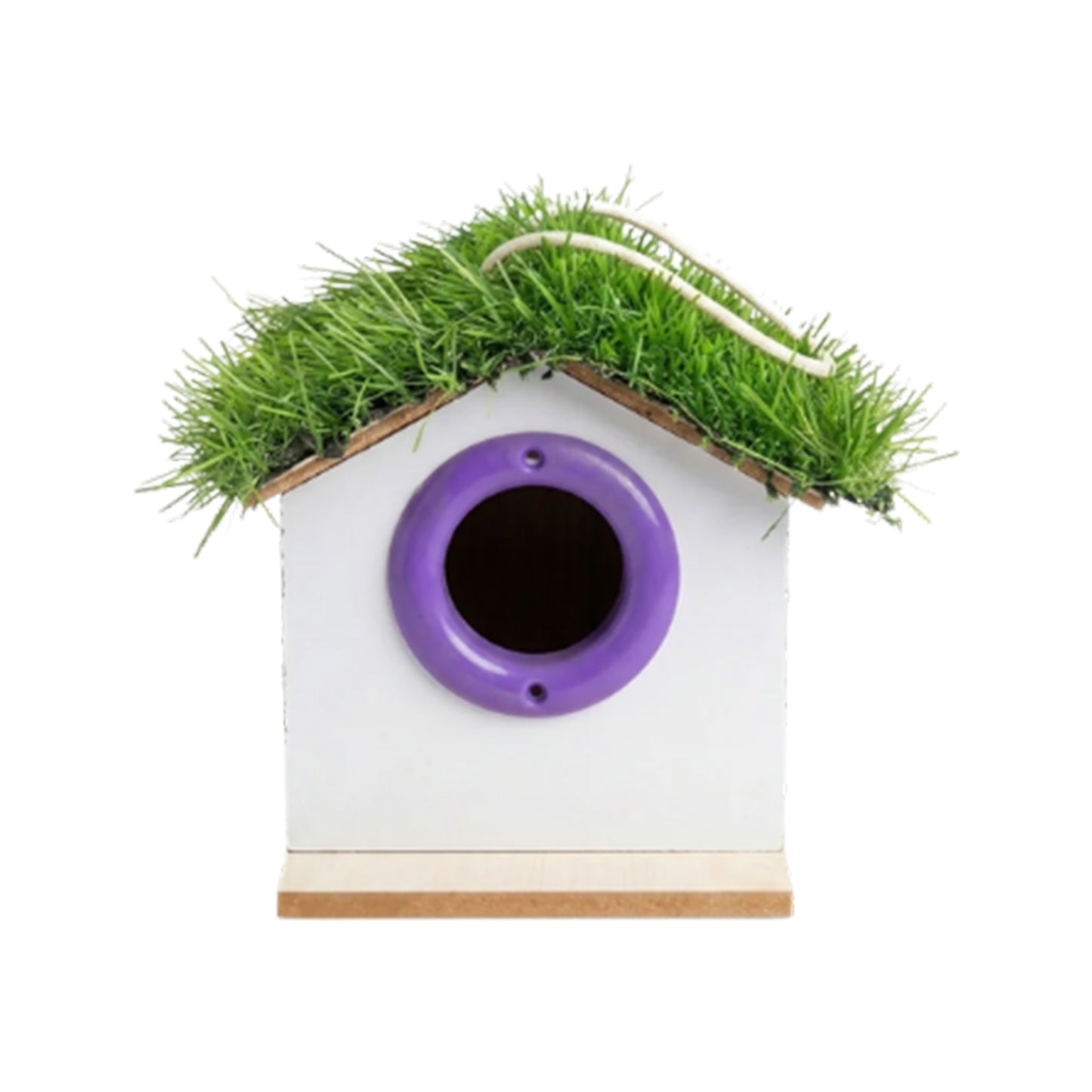 Back view of wooden birdhouse with green grass roof