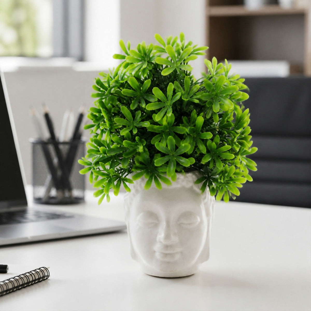 Decorative-Plant-02