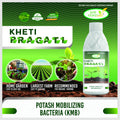 Potassium Mobilizing Bacteria – Enhance Plant Growth & Yield (1L)