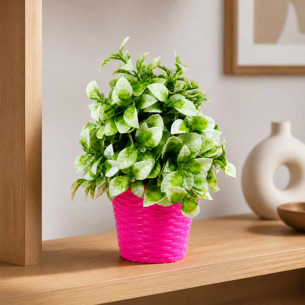 Decorative-Plant-02