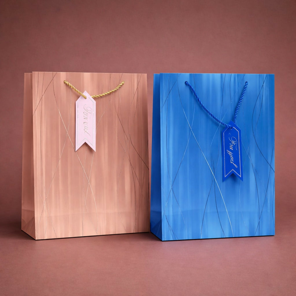 Elegant premium paper gift bag front view