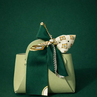 Women’s Light-Green Mini Handbag with Scarf Handle | Casual & Gift Purse