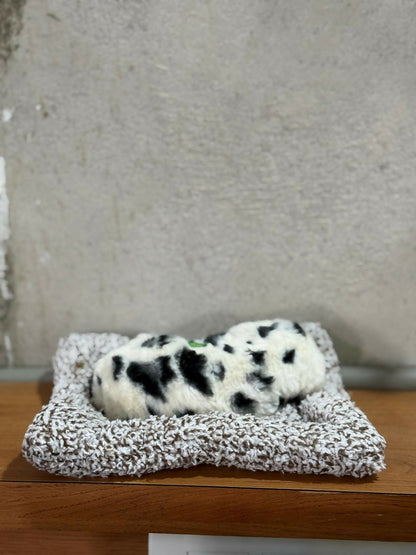Premium Plush Dalmatian Puppy Toy Sleeping on Soft Knitted Cushion | Realistic Faux Fur Pet Dog Figurine for Home Decor, Desk Tabletop & Gift | Handcrafted Decorative Sleeping Puppy Model – Cute Animal Showpiece