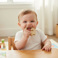 Ring Baby dinosaur shaped Baby teether