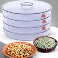 Sprout Maker 4 Compartment – Fresh & Healthy Sprouts | Tidy Table