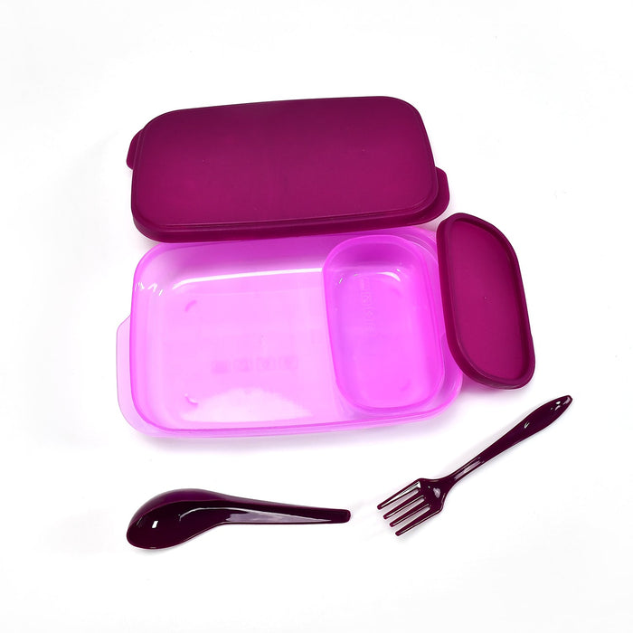 2453 Unbreakable Divine Leak Proof Plastic Lunch Box Food Grade Plastic BPA-Free 2 Containers with Spoon DeoDap