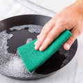 Scrub Sponge Pads – Aqua Green 10PC with Stain Cutter | Velvet Wipe