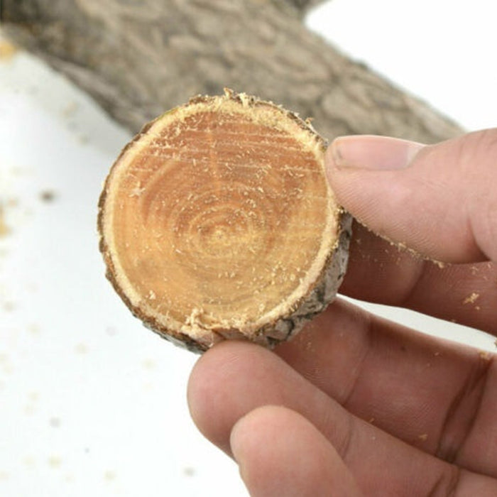 1719 High Carbon Steel Tree Pruning Saw 270 mm Cutter DeoDap