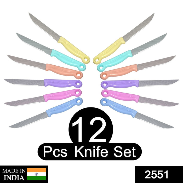 2551 Multipurpose Top Kitchen Knife for Home and Restaurant (12Pcs Set) DeoDap