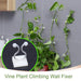 6156 wall Plant Climbing Clip widely used for holding plants and poultry purposes and all. DeoDap