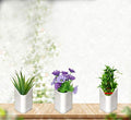 Hanging Planter Pot – Multicolour Vertical Garden | Gambit