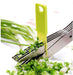 1563 Multifunction Vegetable Stainless Steel Herbs Scissor with 5 Blades DeoDap